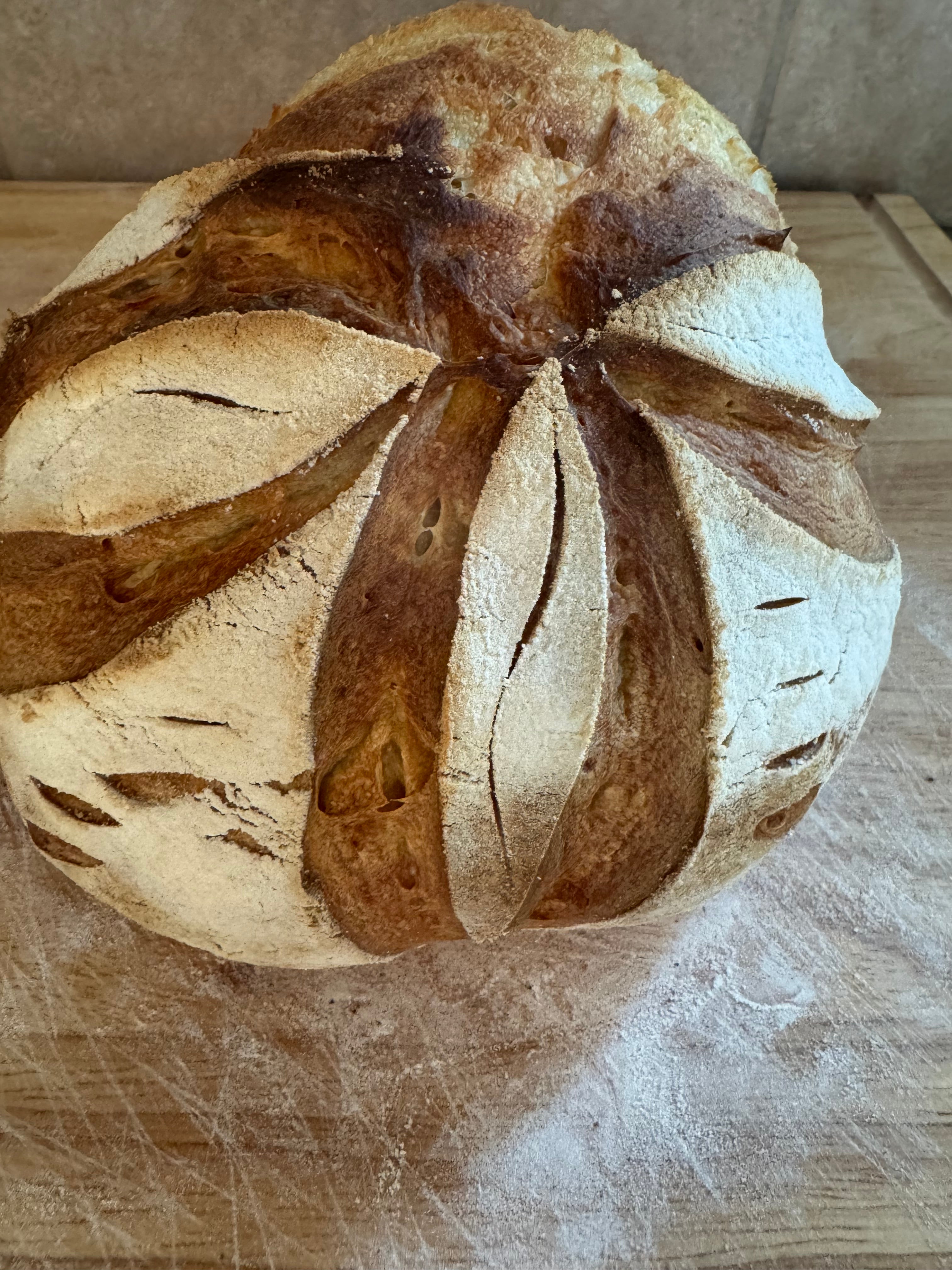 Fresh Sourdough Mountain Bread!