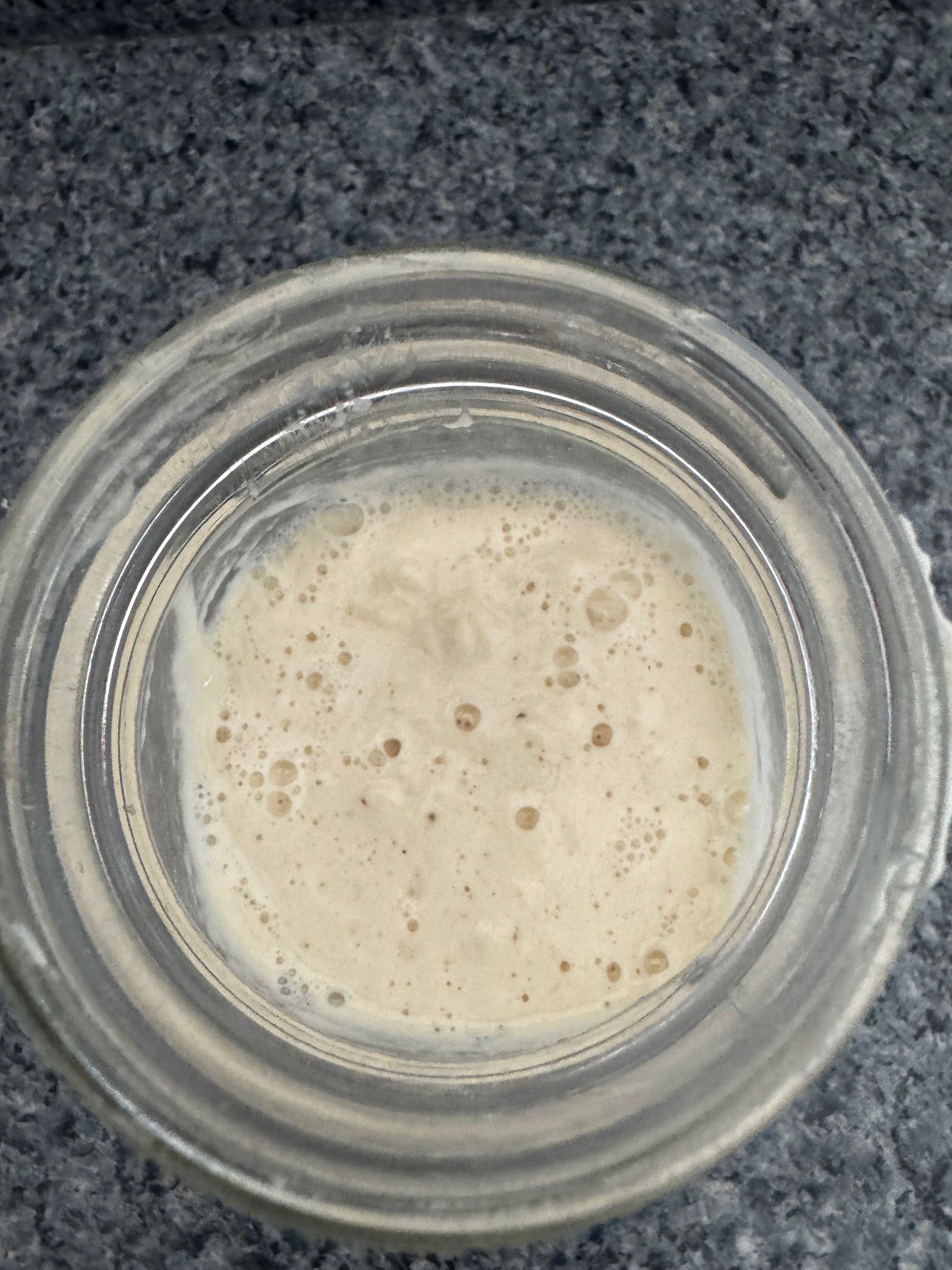 Introductory Guide to Making Sourdough Bread - Digital Download