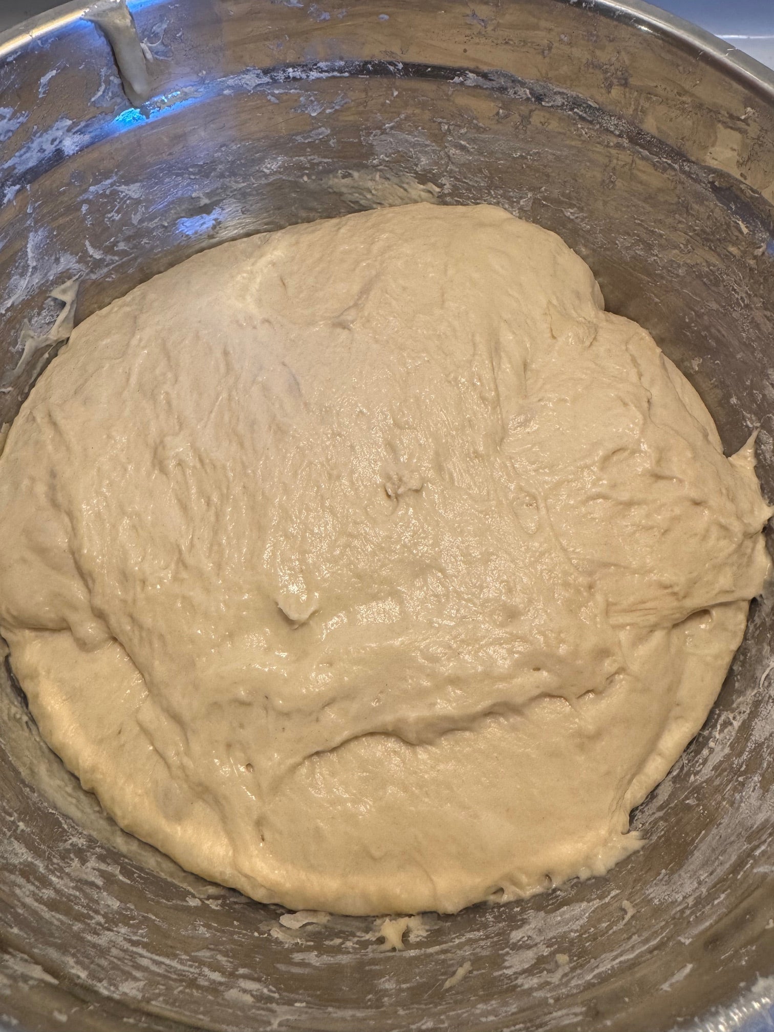 Introductory Guide to Making Sourdough Bread - Digital Download
